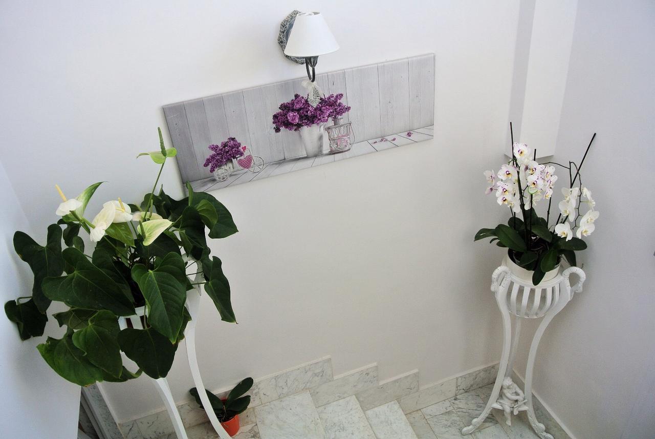 Almasol Bed & Breakfast Cassano delle Murge Exterior photo