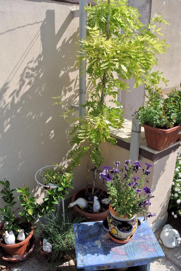 Almasol Bed & Breakfast Cassano delle Murge Exterior photo
